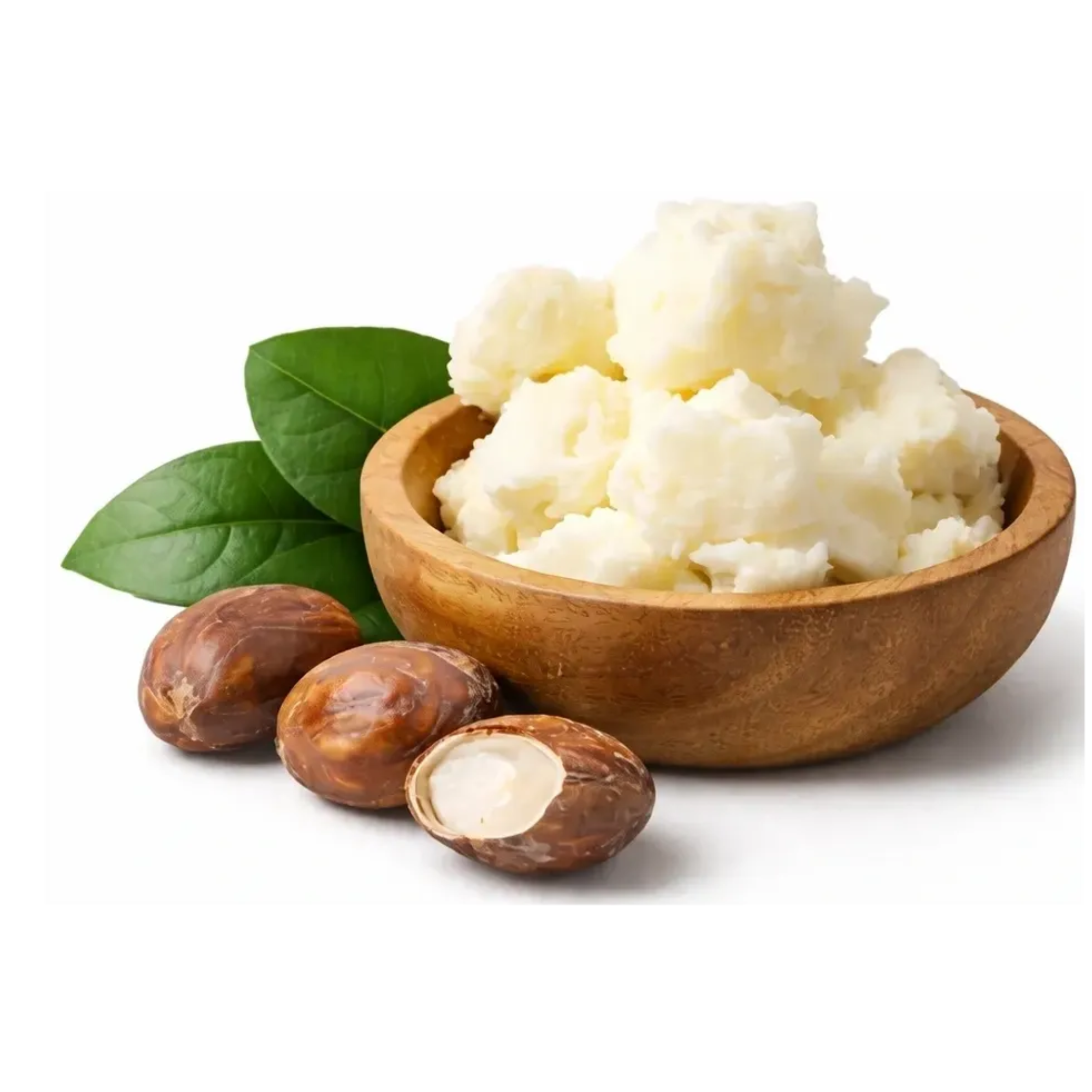 Shea butter in wooden bowl with shea nuts